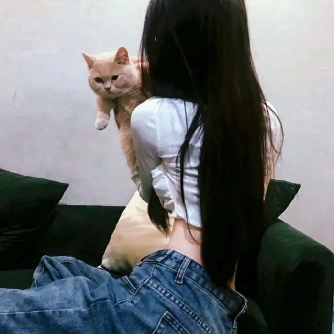 美好条纹